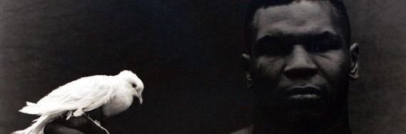 boylive_'s profile banner image