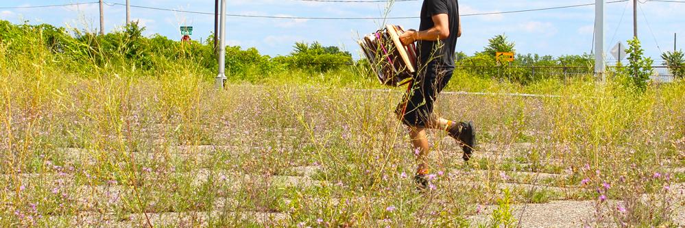 Daniel Phillips banner