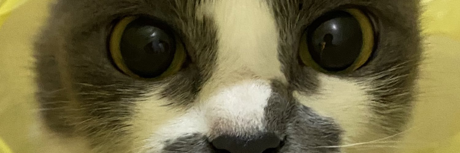 LetOkazaki's profile banner image