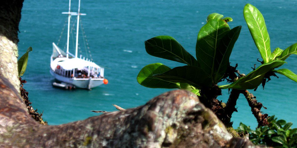 pruritano's profile banner image