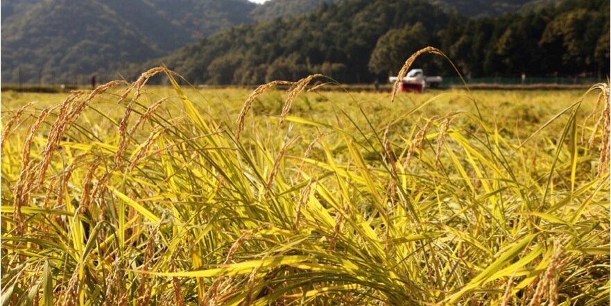 SakeBC's profile banner image