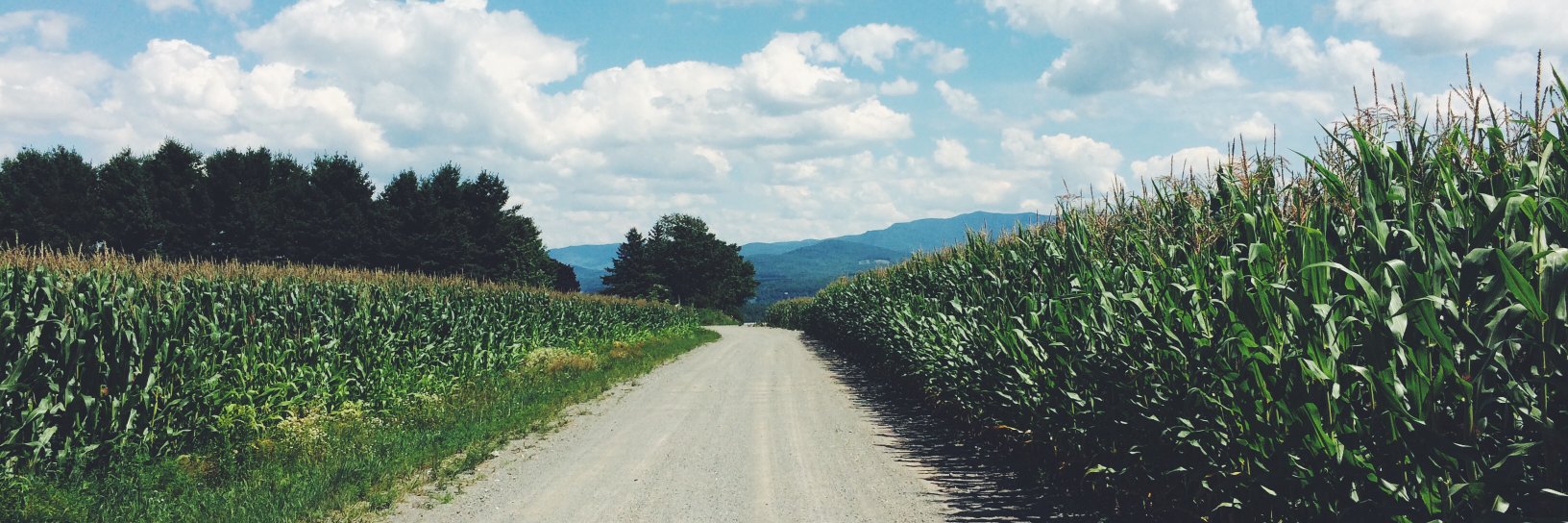 AlexBenoit00's profile banner image