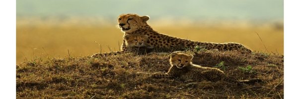 Jedi_Jamie Profile Banner