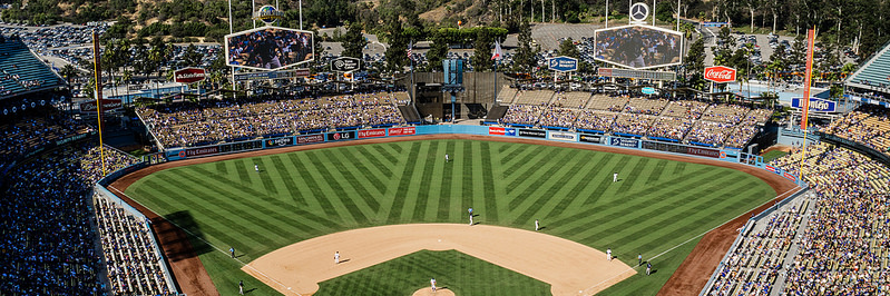 Dodgerblue banner