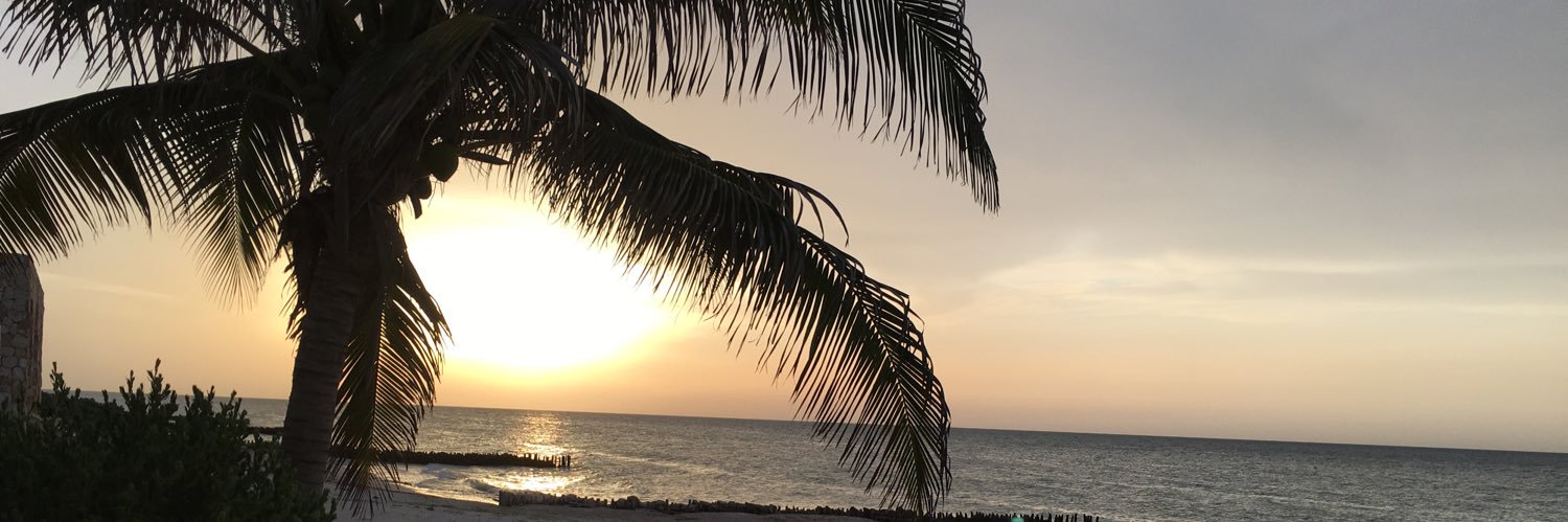 GDPacheco's profile banner image