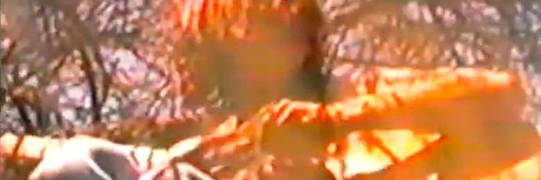 MaPigsinpie8's profile banner image