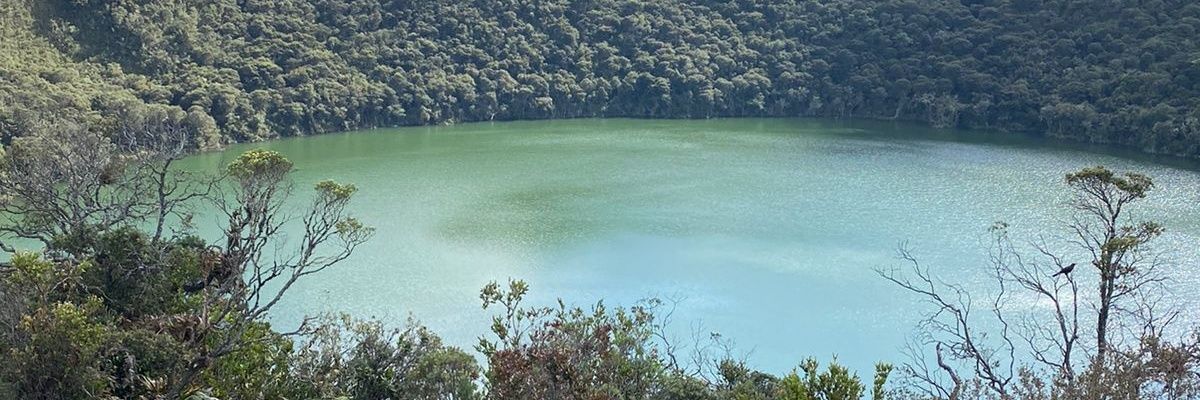 carolafigo's profile banner image