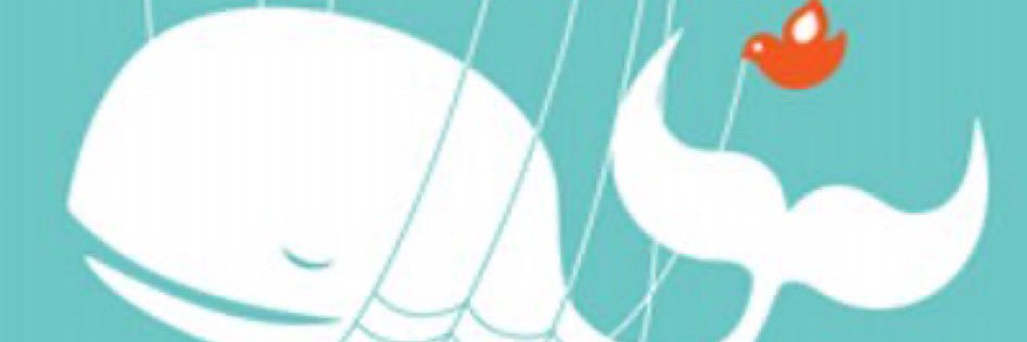 Andrew F banner