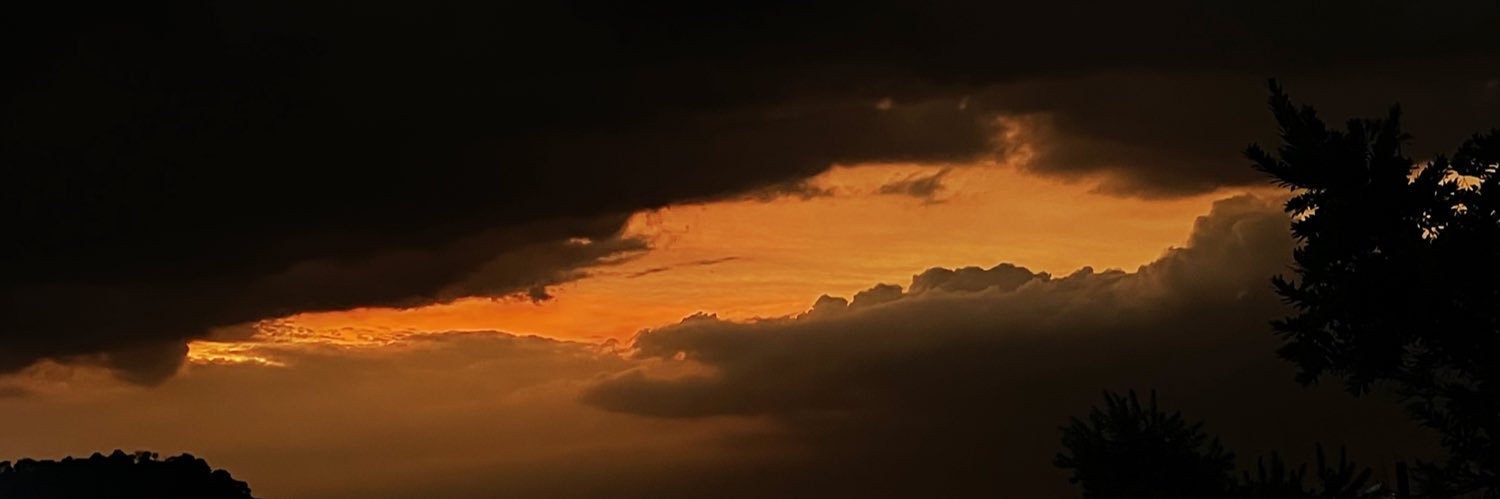 robynerasmus04's profile banner image