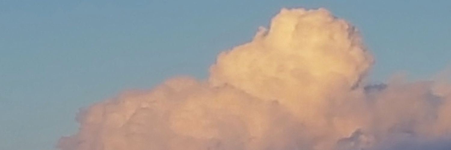 warblerific's profile banner image