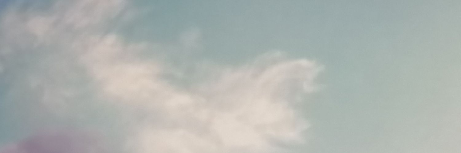 AnaMariaOchoaZ's profile banner image