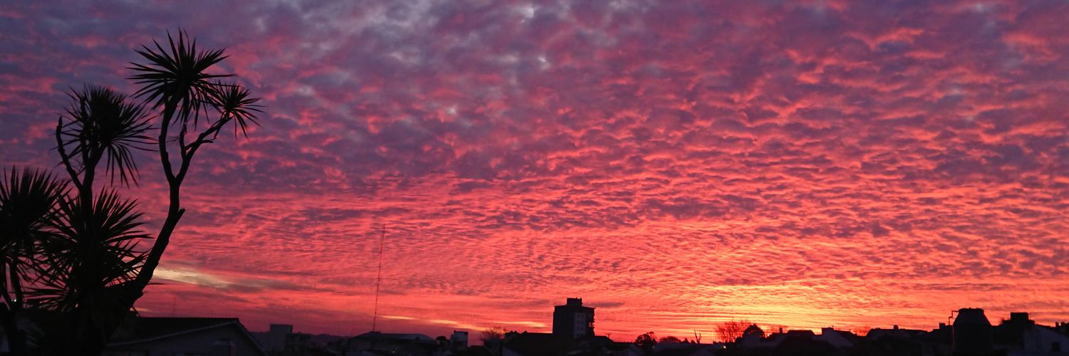 Volveré y seré tortones🥞 banner