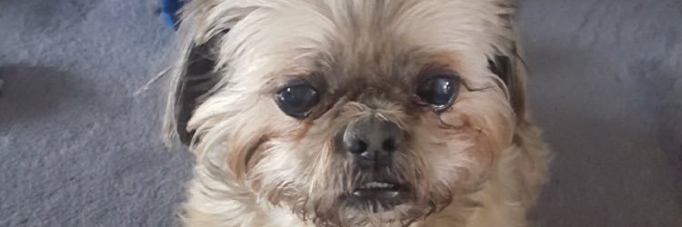brandonNroth's profile banner image