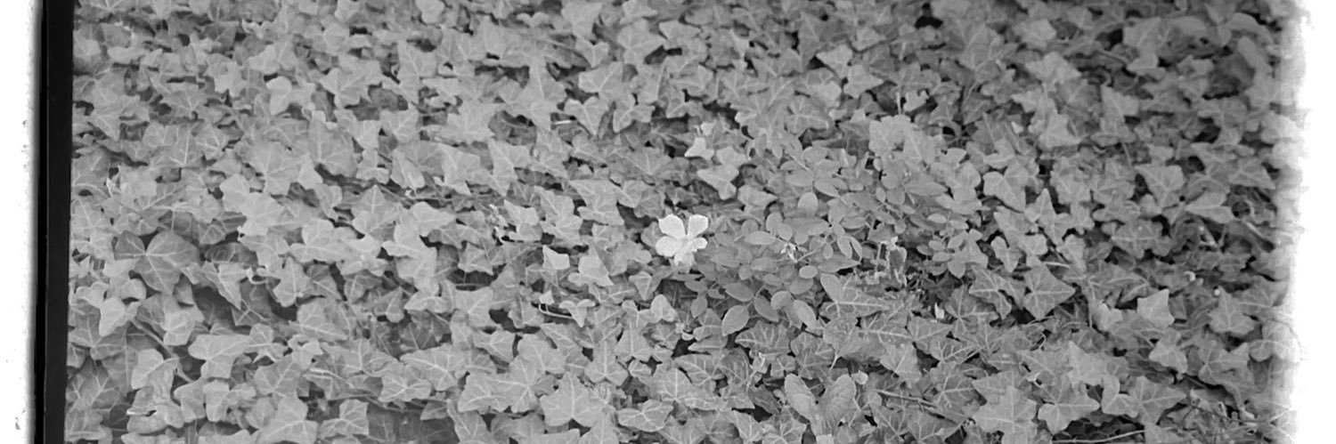 sam_spain_'s profile banner image