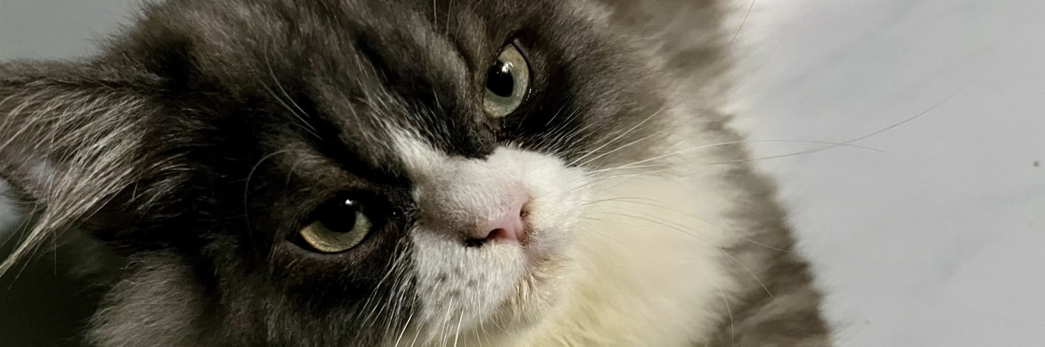 JessieDee2088's profile banner image