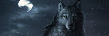 jboogie____'s profile banner image
