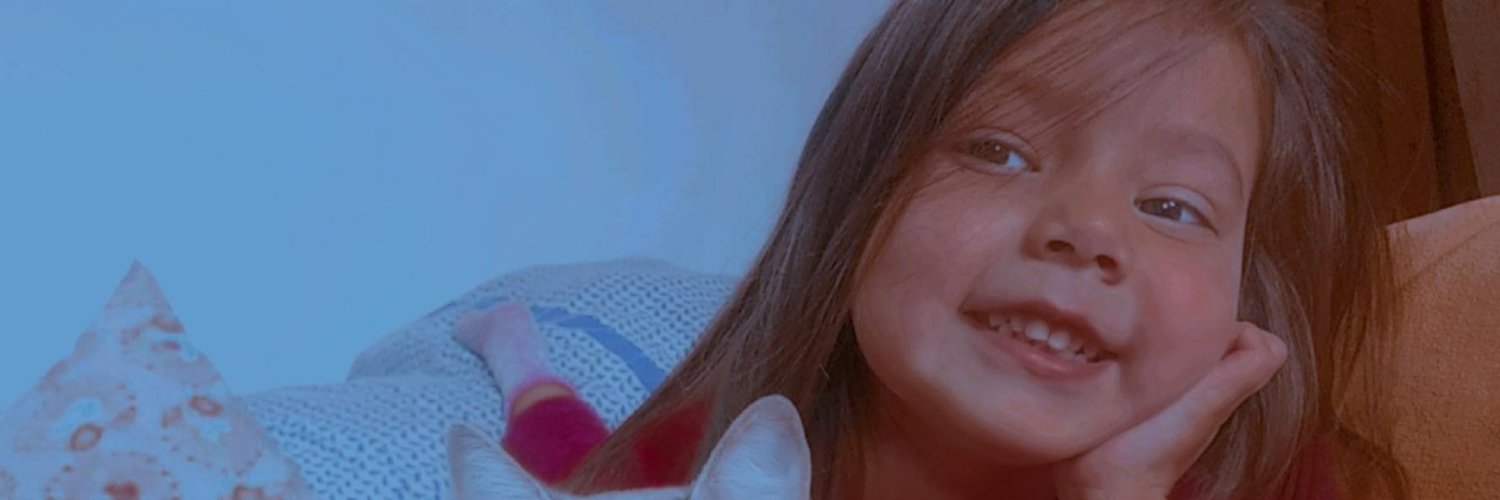 bri banner