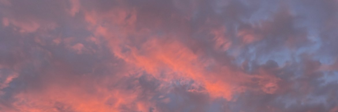 daniela's banner