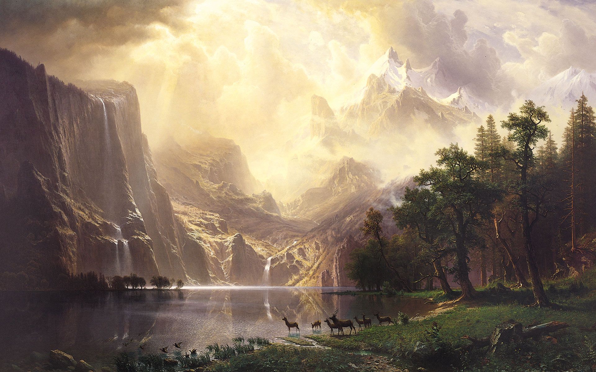 VanderleyETHX's profile banner image