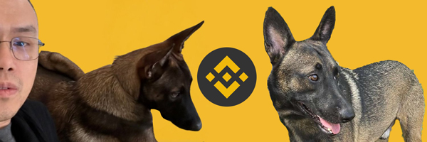 CZDOGCTO's profile banner image