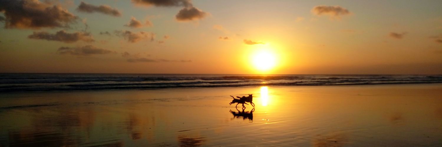 my_joen's profile banner image