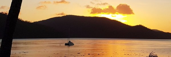 LeisaAtLarge Profile Banner