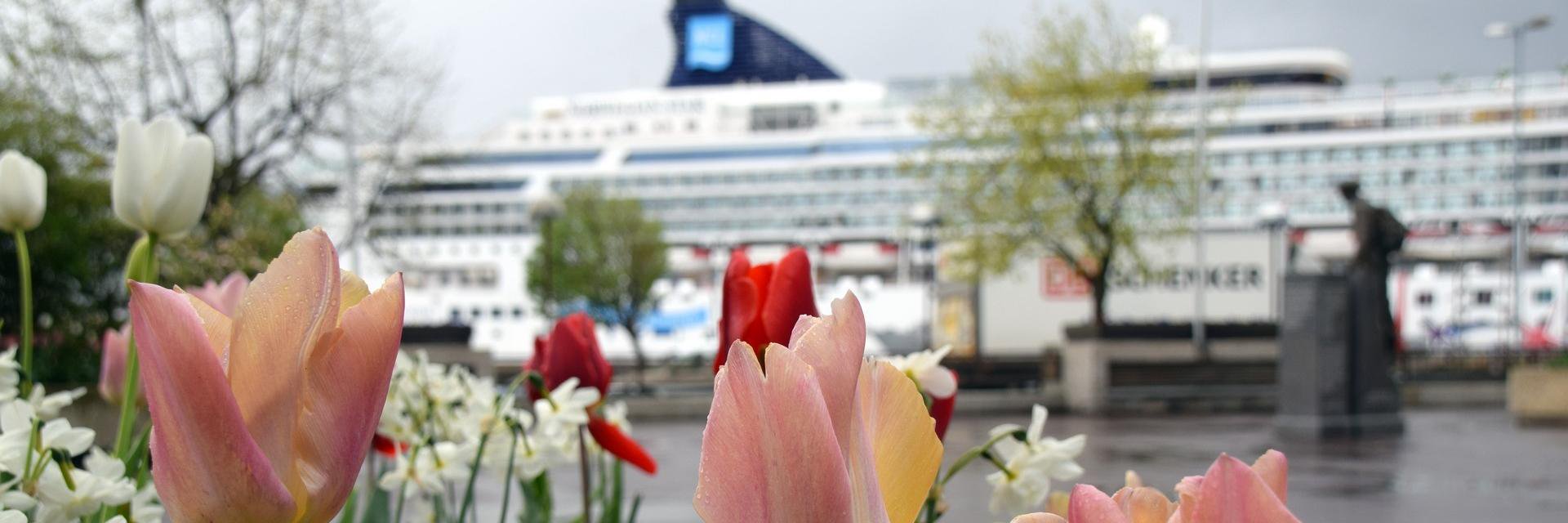 ReviewCruises's profile banner image