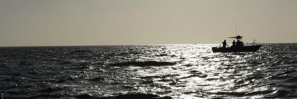 SFIBC Profile Banner