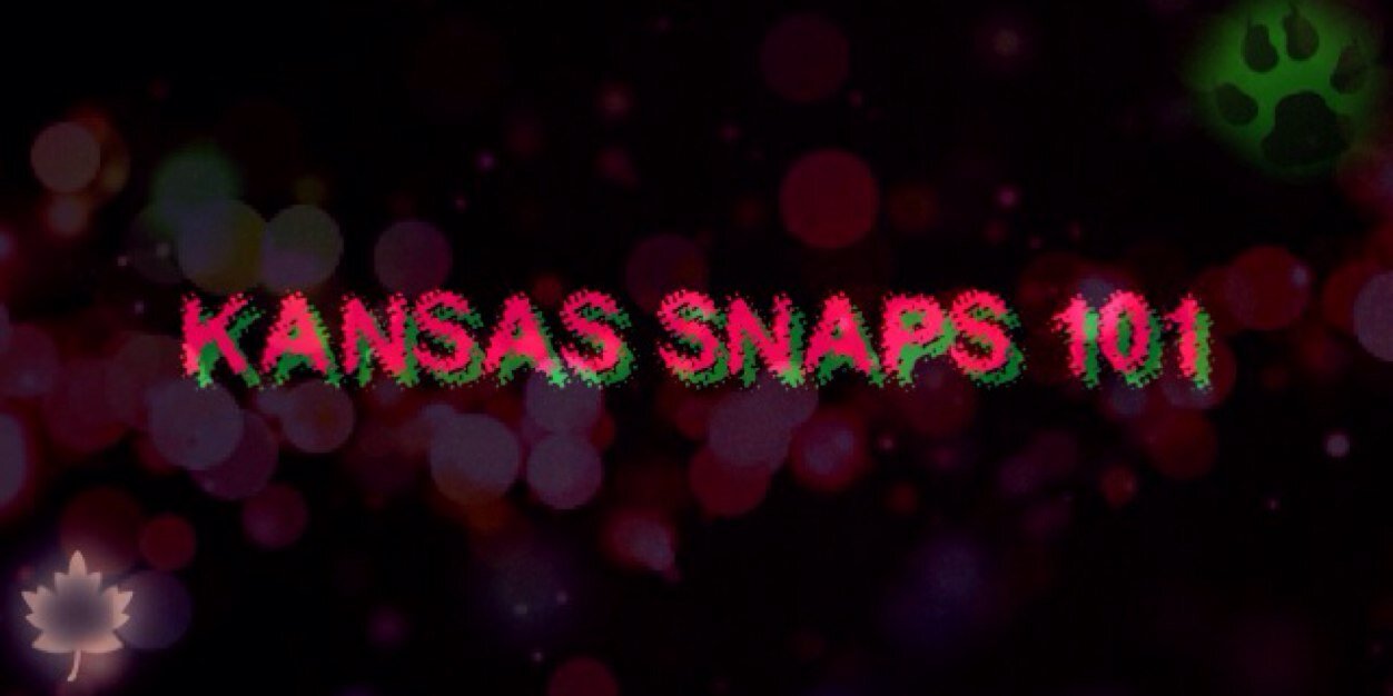 kansassnaps101's profile banner image
