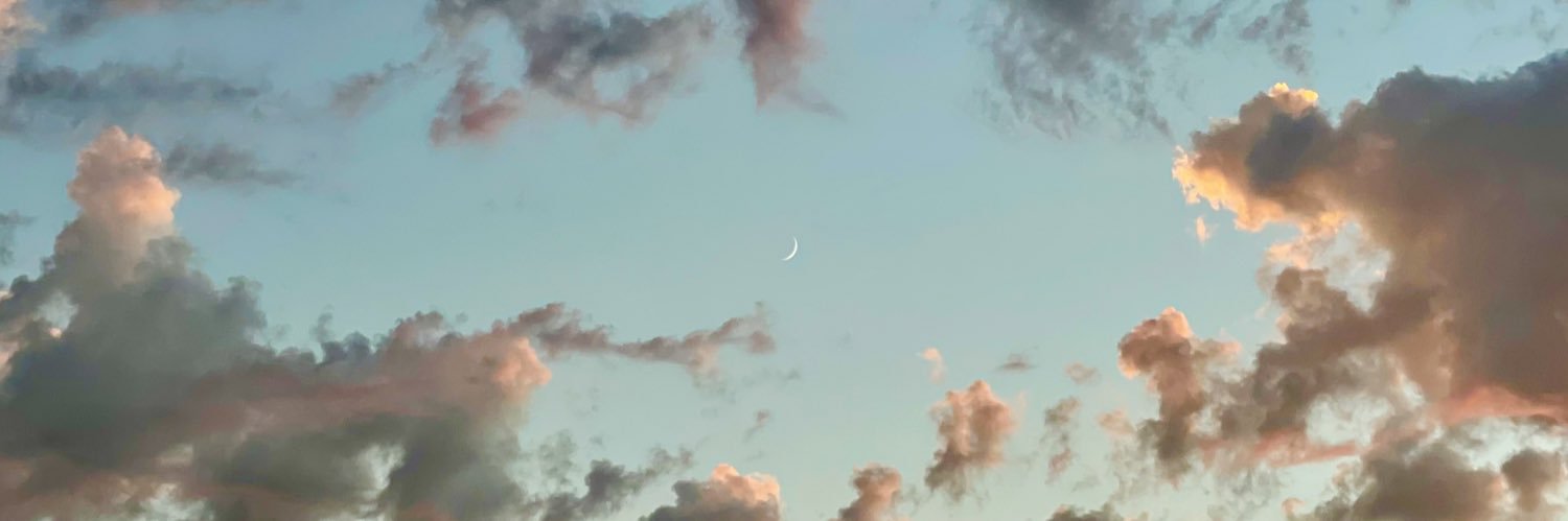 lilayee2's profile banner image