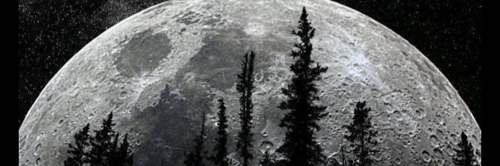 noor18147's profile banner image