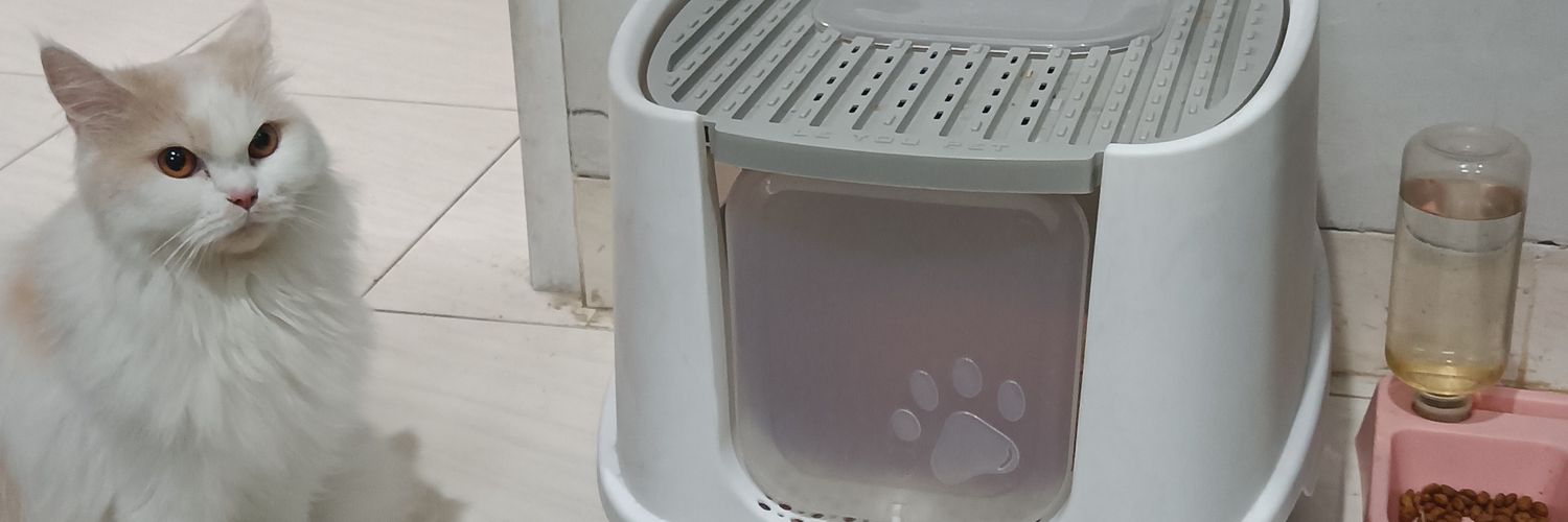 wtmukti's profile banner image