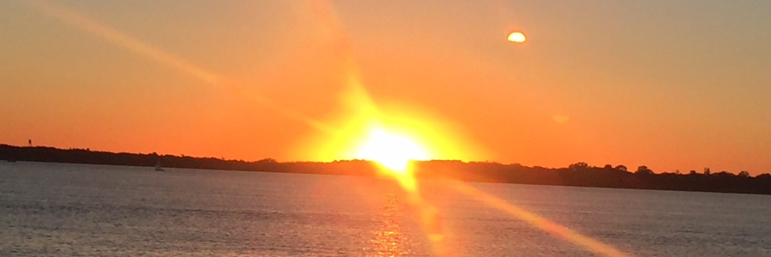 ReneeAnnberna's profile banner image