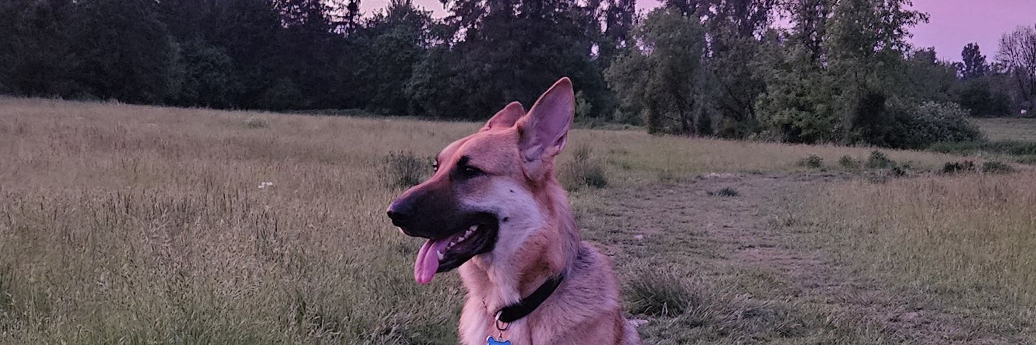 OMendez20's profile banner image