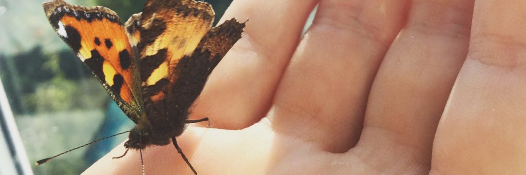 queerkat99's profile banner image