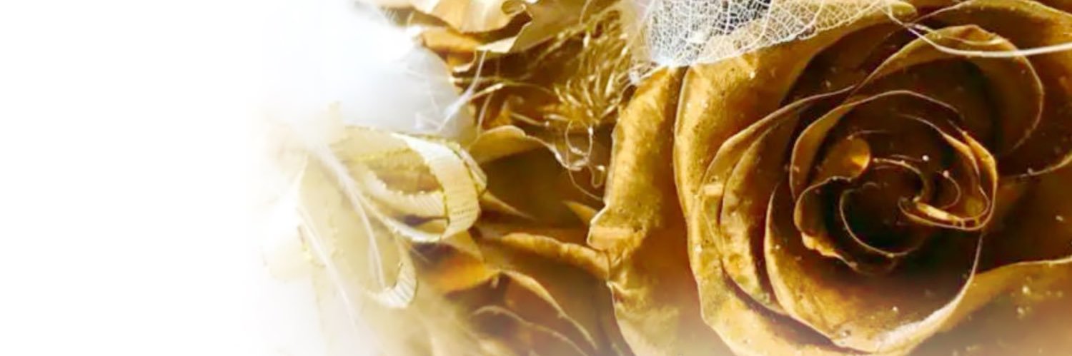 _RluSS's profile banner image