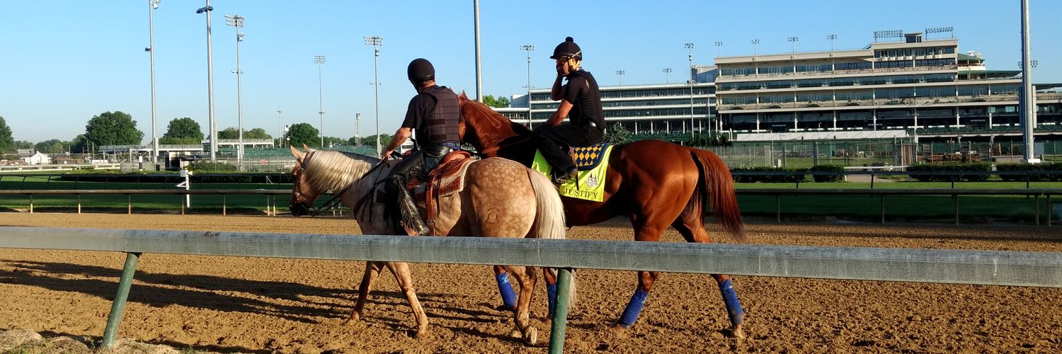 Reinier M 🐎 banner