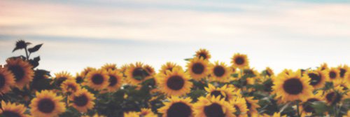 keepingupwchels's profile banner image