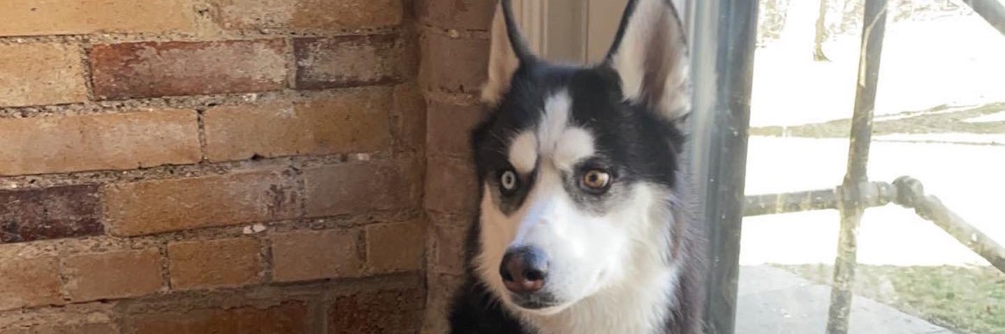 BlakeMulligan1's profile banner image