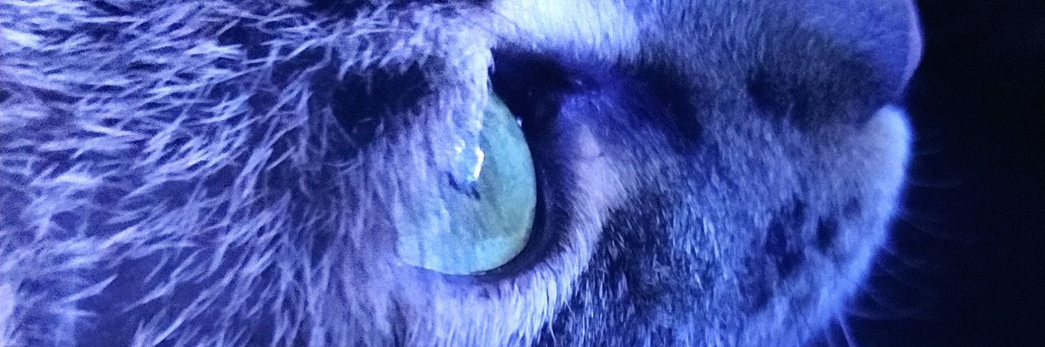 Jakesully396's profile banner image
