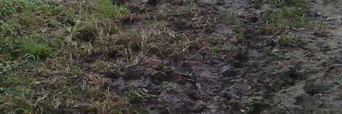 AguemDe's profile banner image