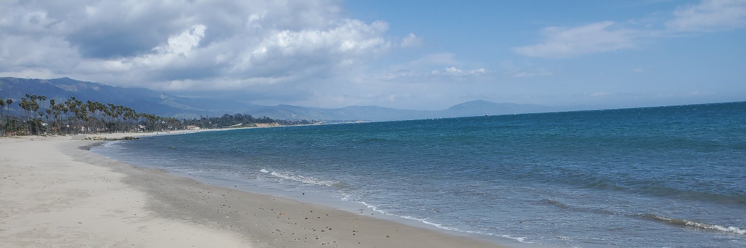 reneefelicity's profile banner image