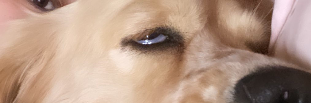 smarymaite's profile banner image