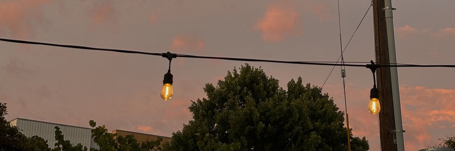 HellmanNicole's profile banner image