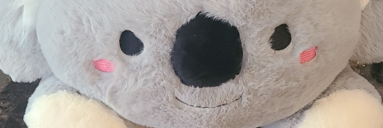 JustCallMeKoala's profile banner image