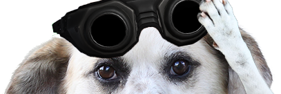 Rushlimbob's profile banner image