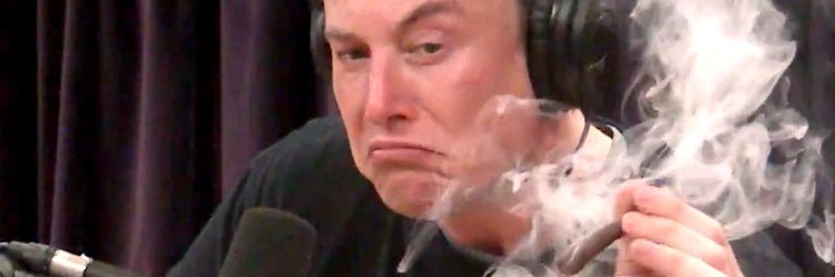 steezybro's profile banner image