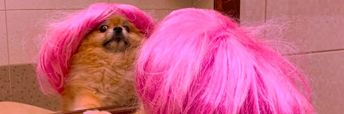 goldnatmosphere's profile banner image