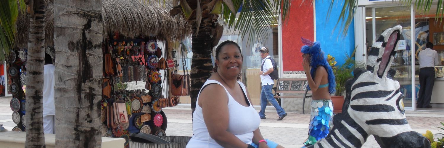 serenitylashell's profile banner image