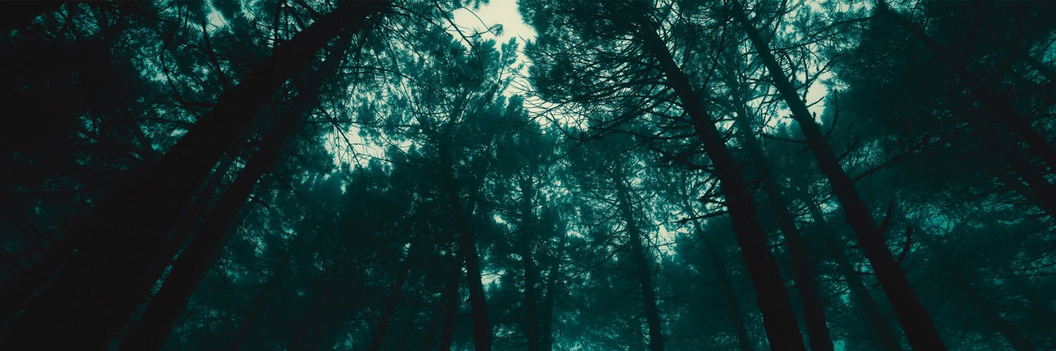 cszimmerman's profile banner image